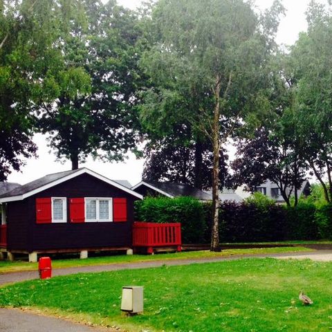 Camping du Mûrier - Camping Mayenne  - Image N°4