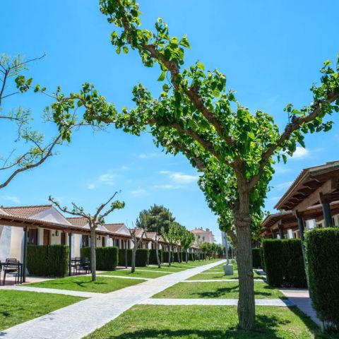 Bungalow 4 persons - A1 Classic