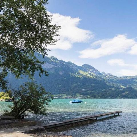 Camping Manor Farm - Bernese Oberland - Image N°4