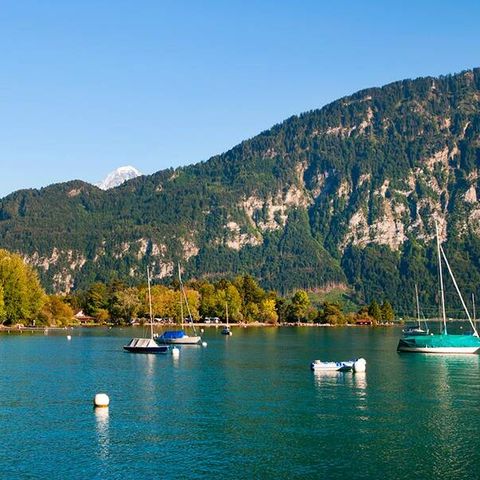 Camping Manor Farm - Bernese Oberland - Image N°2