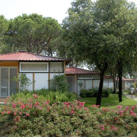 CHALET 4 people - Comfort