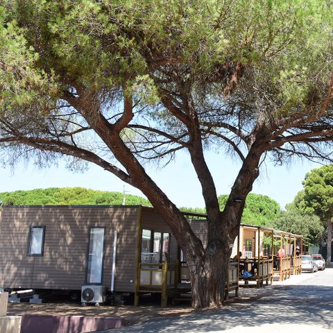 Camping Tikayan le Méditerranée - Var - Image N°4