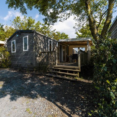 Mobile home 4 persons - STANDARD - TV