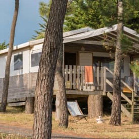 CANVAS AND WOOD TENT 6 people - Lodge Sweet Home 4/6p 2ch ****