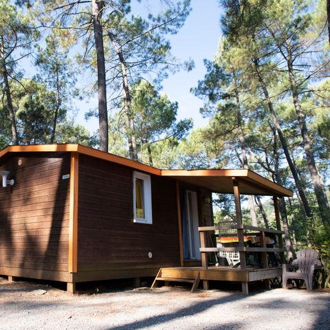 Chalet 5 persons - BRUYERE