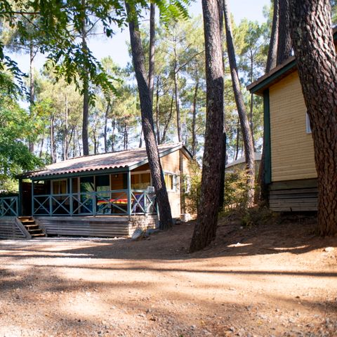 Chalet 6 persons - Chalet ACACIA - 2 bedrooms