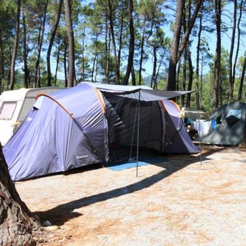 Pitch - Camping pitch