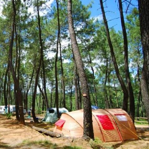 Pitch - Camping pitch