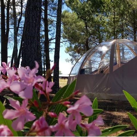 Tent 4 persons - Bulle Etoile d'Ardèche 4P