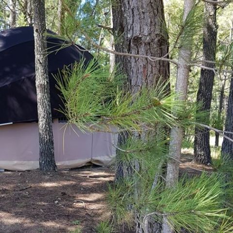 Tent 4 persons - Bulle Etoile d'Ardèche 4P