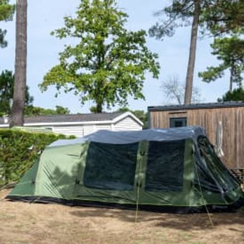 Pitch - Premium location