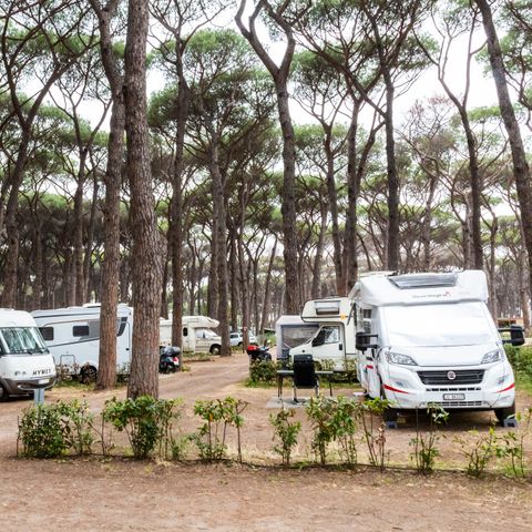Pitch - Motorhome, Tent-trailer, Caravan