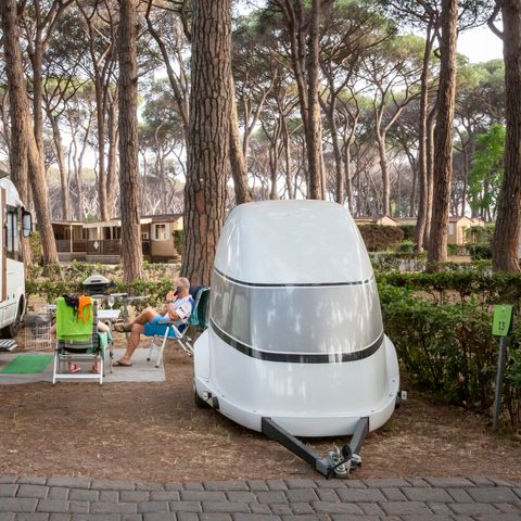 Pitch - Motorhome, Tent-trailer, Caravan