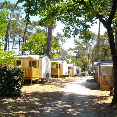 MOBILE HOME 8 people - Air conditioning