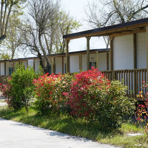 MOBILE HOME 5 people - Lodge Superior Dog