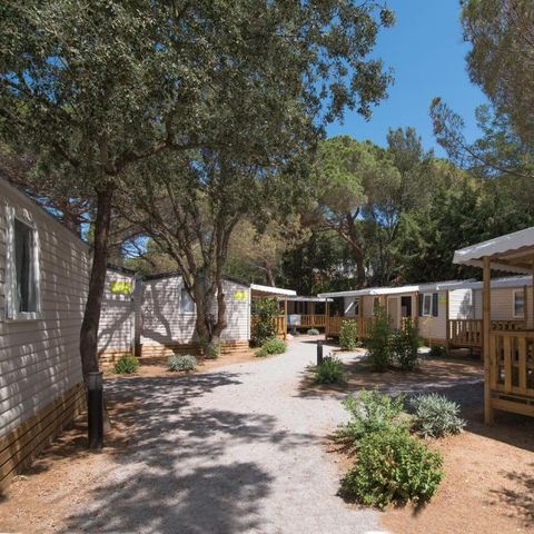 Camping Santa Elena Ciutat - Girona - Image N°6