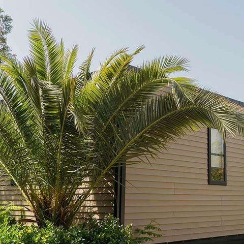 Bungalow 4 persons - CROMA