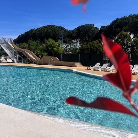 Camping La Provençale - Alpes-Maritimes - Image N°3