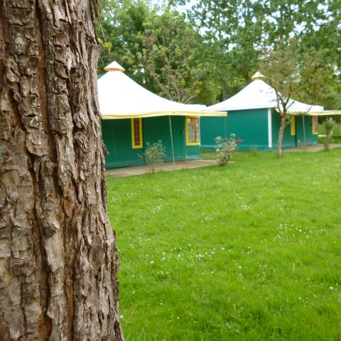 CANVAS BUNGALOW 5 people - KIWI Without sanitary facilities