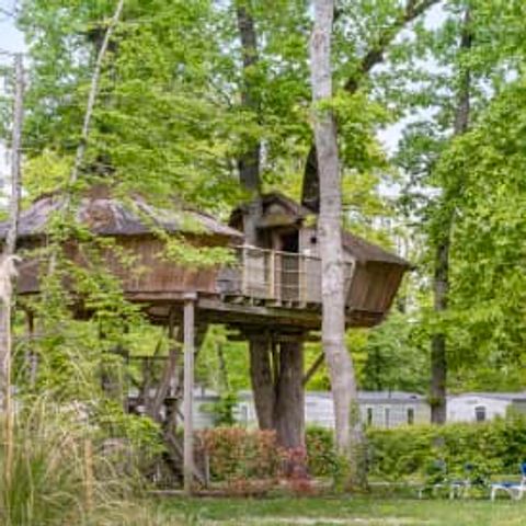 UNUSUAL ACCOMMODATION 5 people - Tree house