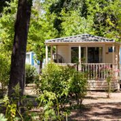MOBILE HOME 6 people - Family