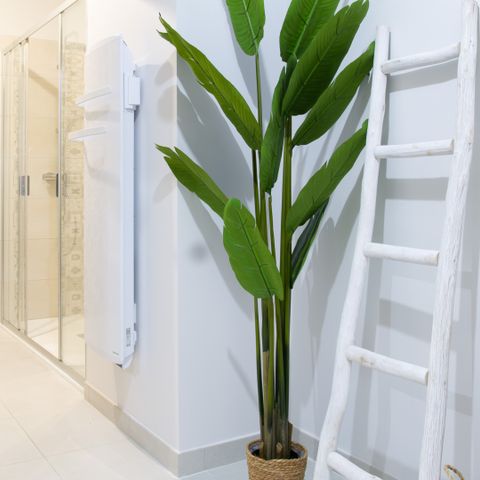 House 4 persons - Cardabelle