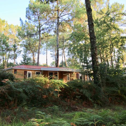 Lodge 6 persons - Cottage Loggia "Forest view" 6p - 3 bedrooms - TV - Air conditioning
