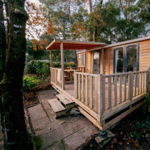 Mobile home 4 persons - CALEDONIA 2bed 4pers