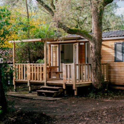 Mobile home 4 persons - MATA 2bed 4pers