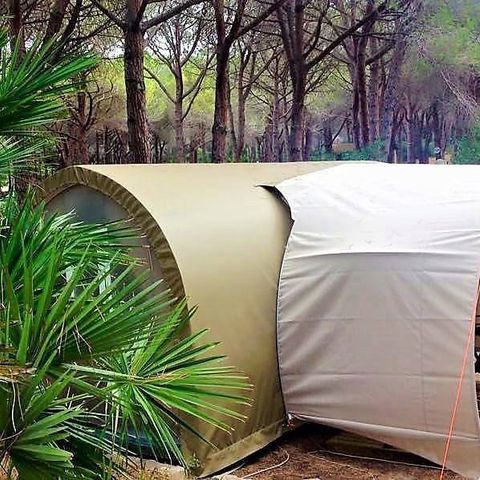 TENT 4 people - BELLA TENT SUITE - Without sanitary facilities