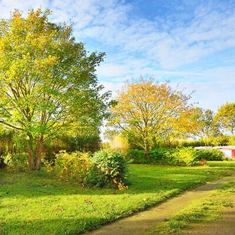 Pitch - Pitch | Cosy | Tent | Vehicle -7m | <85m² | Electricity | Water