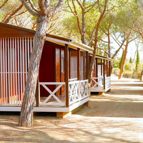 Bungalow 6 persons - Campitel