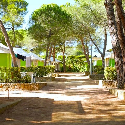 TENT 4 people - Trigano