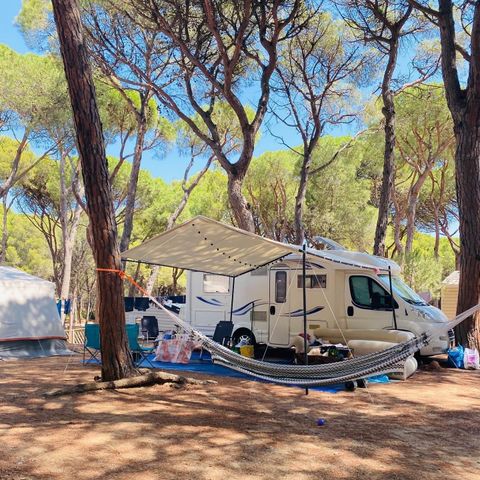 Pitch - Standard Comfort - 60-75m2 - : car - Caravan or camper van or tent - Electricity