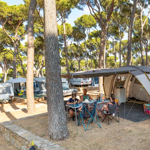 Pitch - Standard Comfort - 60-75m2 - : car - Caravan or camper van or tent - Electricity