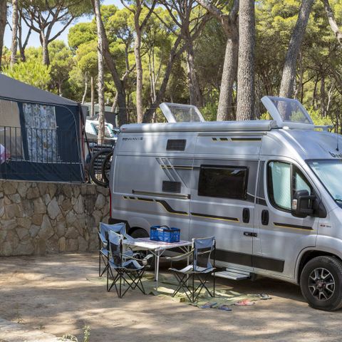 Pitch - Standard Basic - 45-60m2 - : car - Caravan or camper van or tent - Electricity