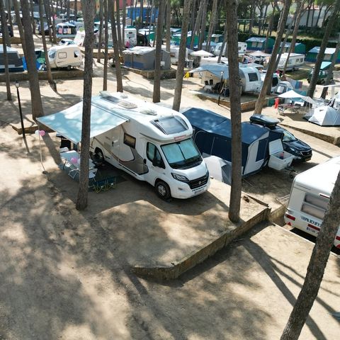 Pitch - Standard Basic - 45-60m2 - : car - Caravan or camper van or tent - Electricity