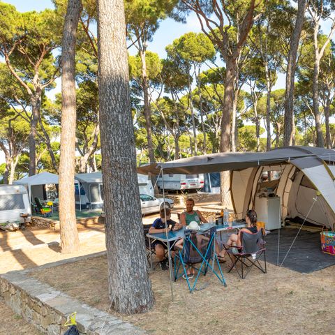 Pitch - Standard Tent - 40-55m2 - : car - Tent - Electricity