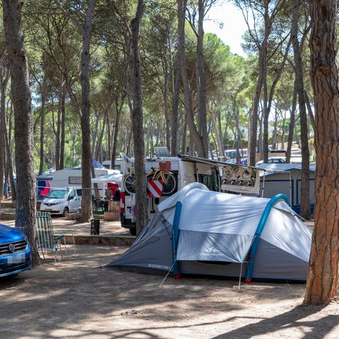 Pitch - Standard Tent - 40-55m2 - : car - Tent - Electricity