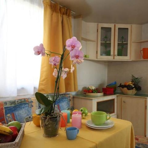 MOBILE HOME 5 people - AIDA