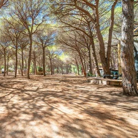 Pitch - Pinada Motorhome Pitch