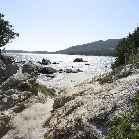 Camping Kevano Plage - Southern Corsica - Image N°3