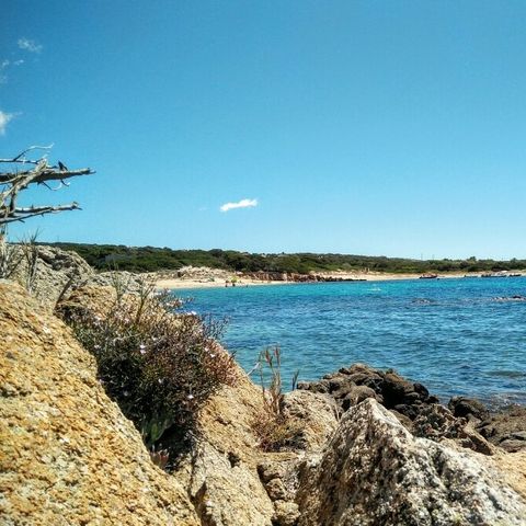 Camping Kevano Plage - Southern Corsica - Image N°2