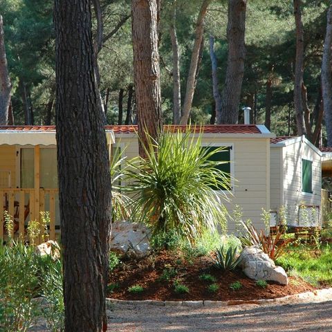 Mobile home 6 persons - Cosy Plus