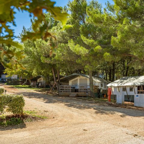 Canvas and wooden tent 5 persons - SAFARI (WITHOUT SANITARY FACILITIES)