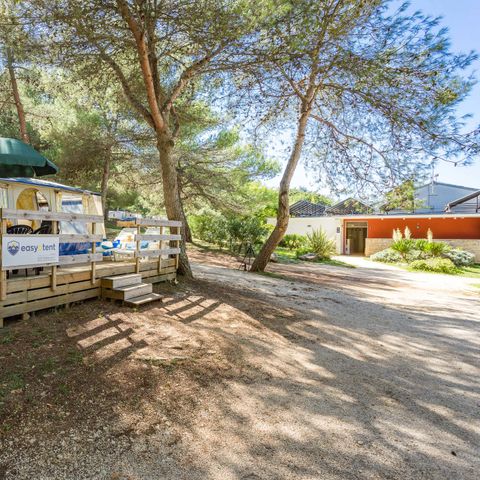 Tent 6 persons - Luxury bungalow tent