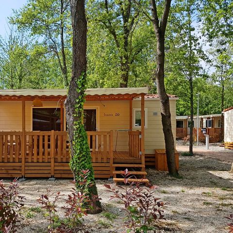Mobile home 5 persons - Sequoia
