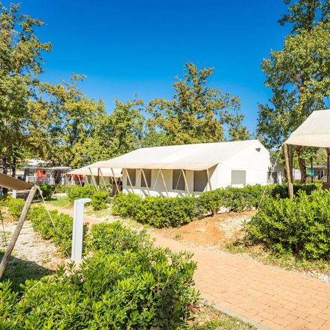 Canvas and wooden tent 4 persons - Safari tent + sanitary