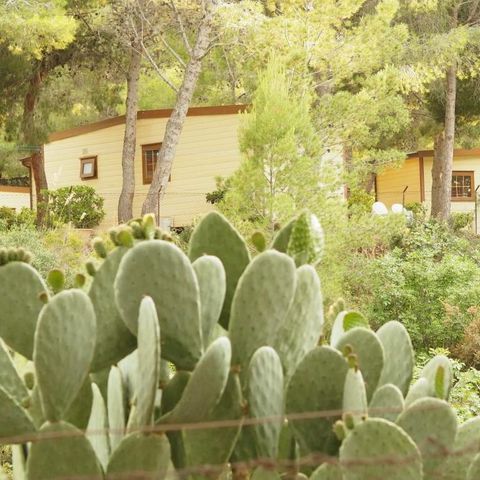 MOBILE HOME 5 people - LARGE