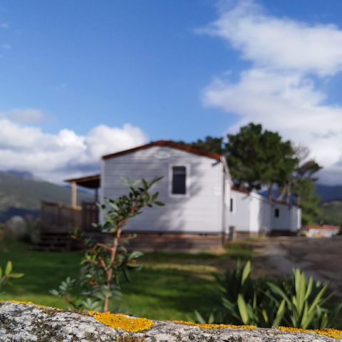 Mobile home 5 persons - MRI - Saturday